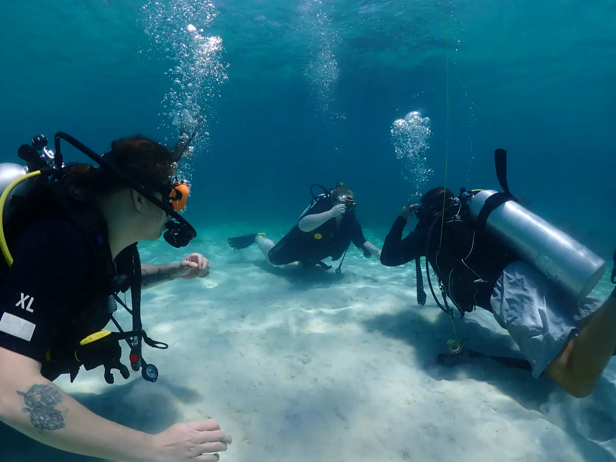 Instructor guiding try divers through their first skills