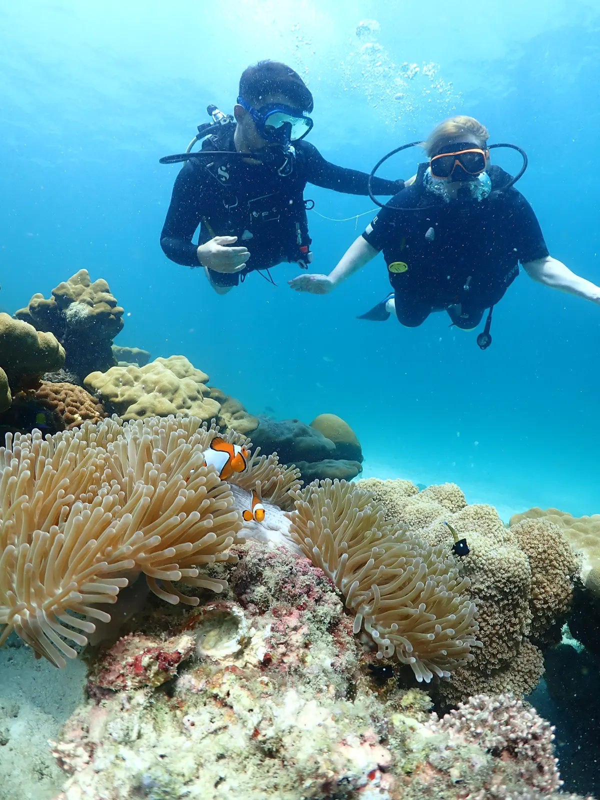 Try divers over an anemone with clownfish on the second dive